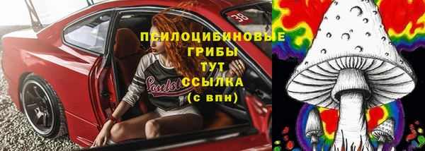 спайс Аркадак