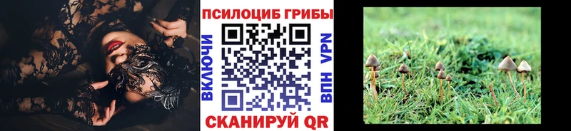 Псилоцибиновые грибы прущие грибы площадка как зайти Пойковский kraken ссылки