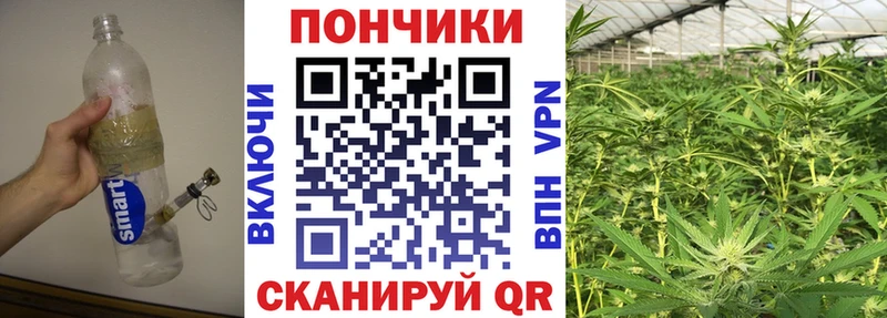 Бошки марихуана гибрид Пойковский
