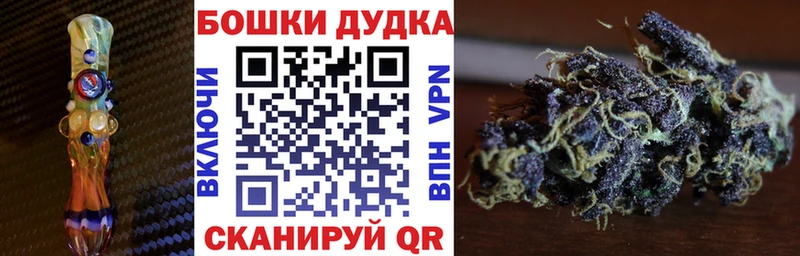 Бошки марихуана сатива  Пойковский 